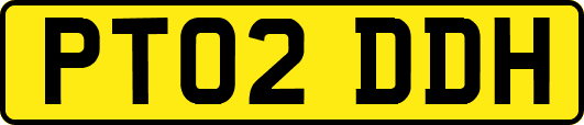 PT02DDH