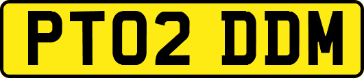 PT02DDM