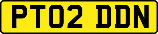 PT02DDN