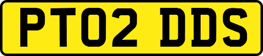 PT02DDS