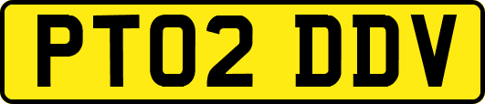 PT02DDV