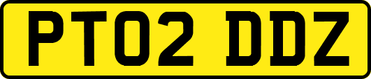 PT02DDZ