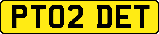 PT02DET