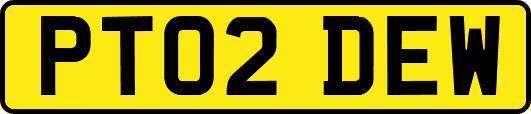 PT02DEW
