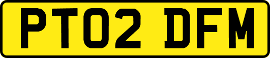 PT02DFM