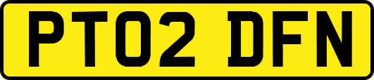 PT02DFN