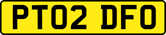PT02DFO
