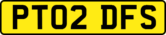 PT02DFS