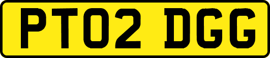 PT02DGG