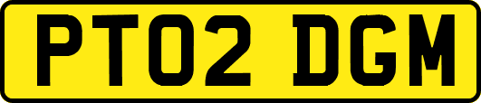 PT02DGM