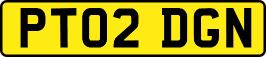 PT02DGN