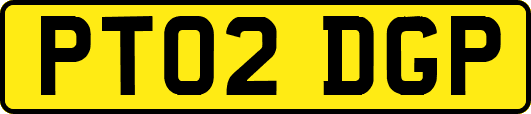 PT02DGP