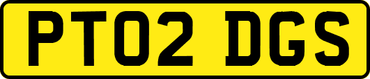 PT02DGS