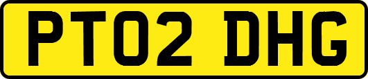 PT02DHG