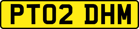 PT02DHM
