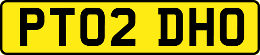 PT02DHO