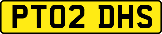 PT02DHS