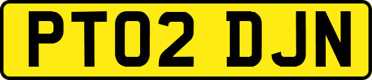 PT02DJN