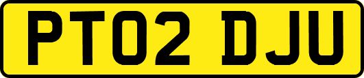 PT02DJU