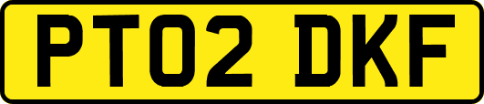 PT02DKF