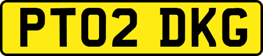 PT02DKG