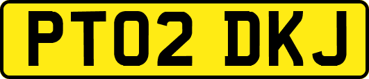 PT02DKJ