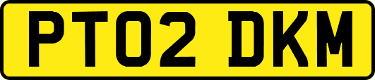 PT02DKM