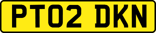PT02DKN