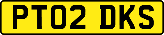 PT02DKS