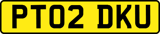 PT02DKU