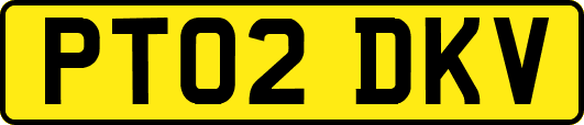PT02DKV