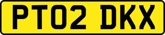 PT02DKX
