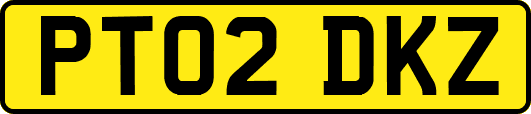 PT02DKZ