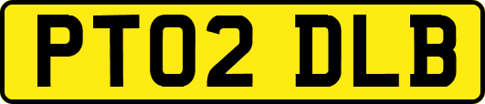 PT02DLB