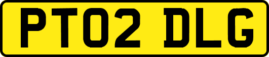 PT02DLG