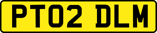 PT02DLM
