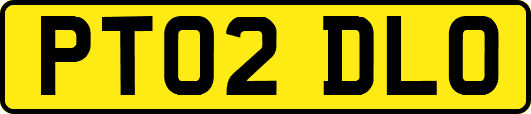 PT02DLO