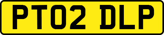 PT02DLP