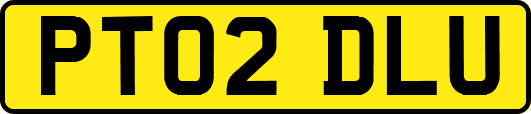 PT02DLU