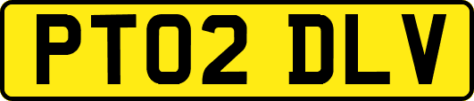 PT02DLV