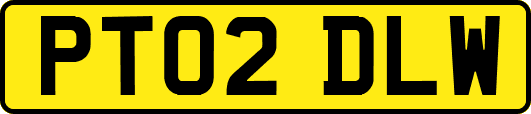 PT02DLW
