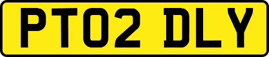 PT02DLY