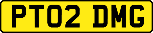 PT02DMG