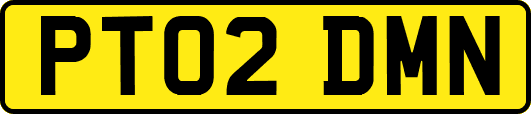PT02DMN