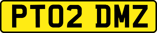 PT02DMZ