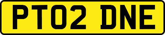 PT02DNE