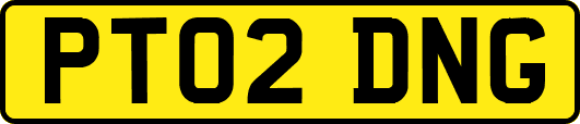 PT02DNG