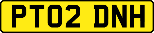 PT02DNH