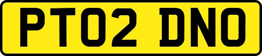 PT02DNO