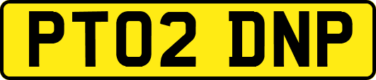 PT02DNP